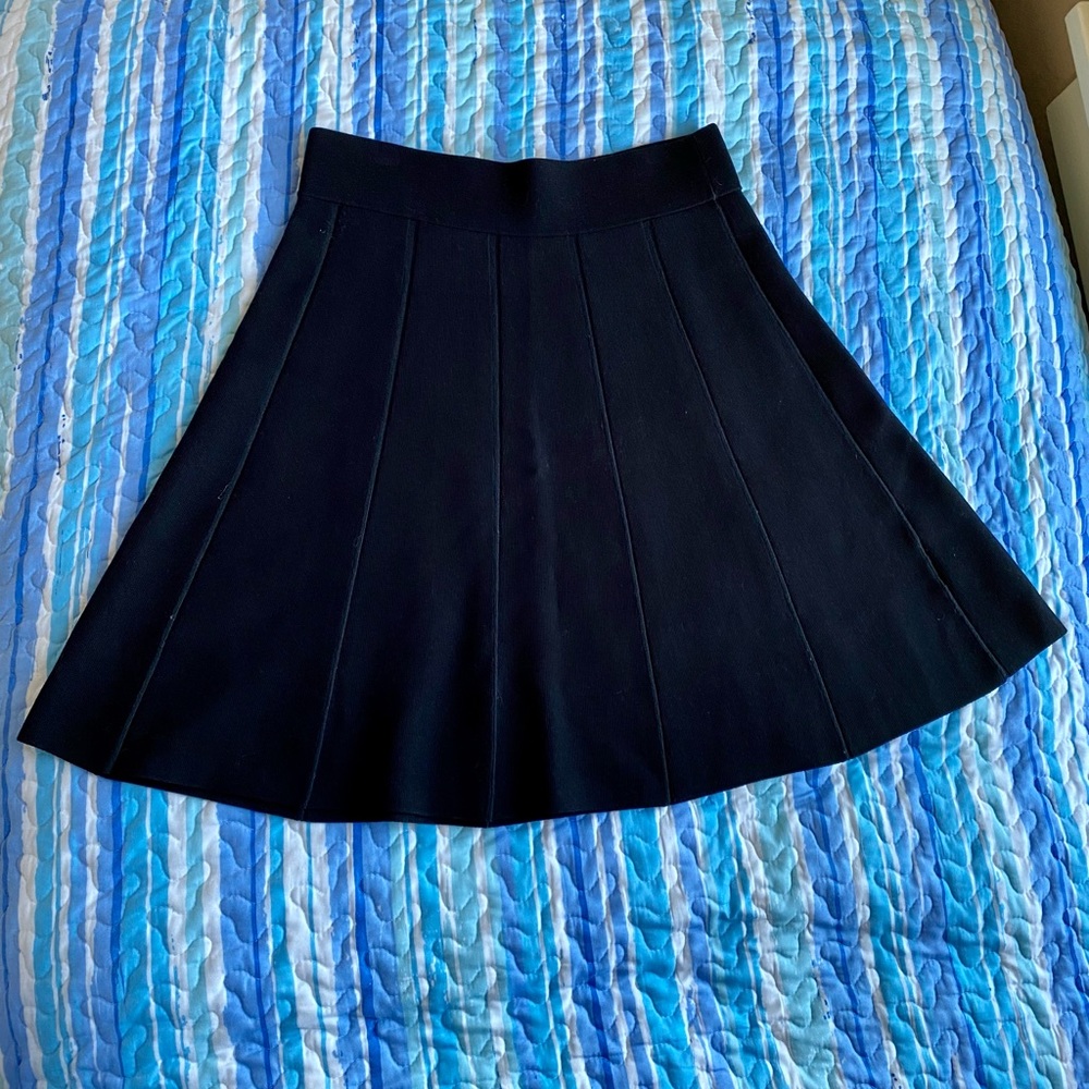 Ann Taylor skirt